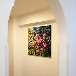 بيت ضيافة Seerhof 3*