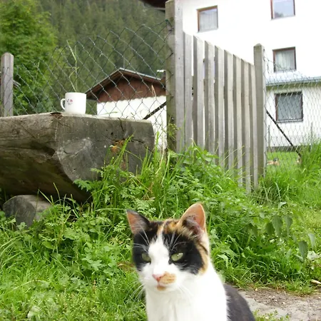 Seerhof 3* Kaunertal