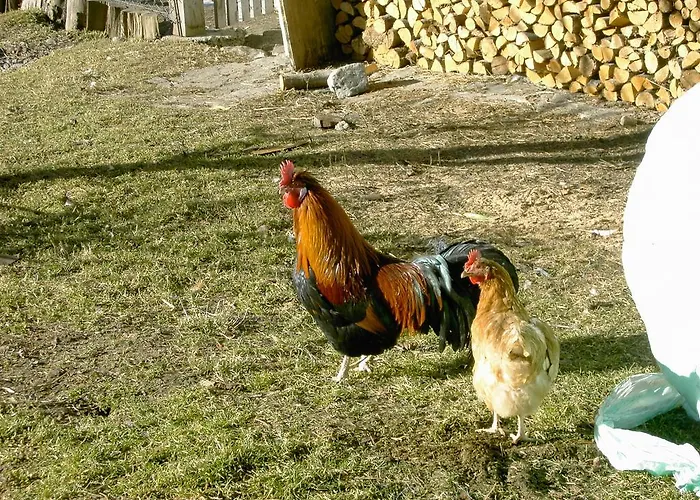 Πανσιόν Seerhof