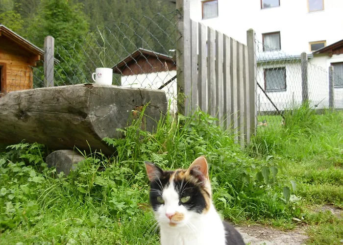 Seerhof 3* Kaunertal